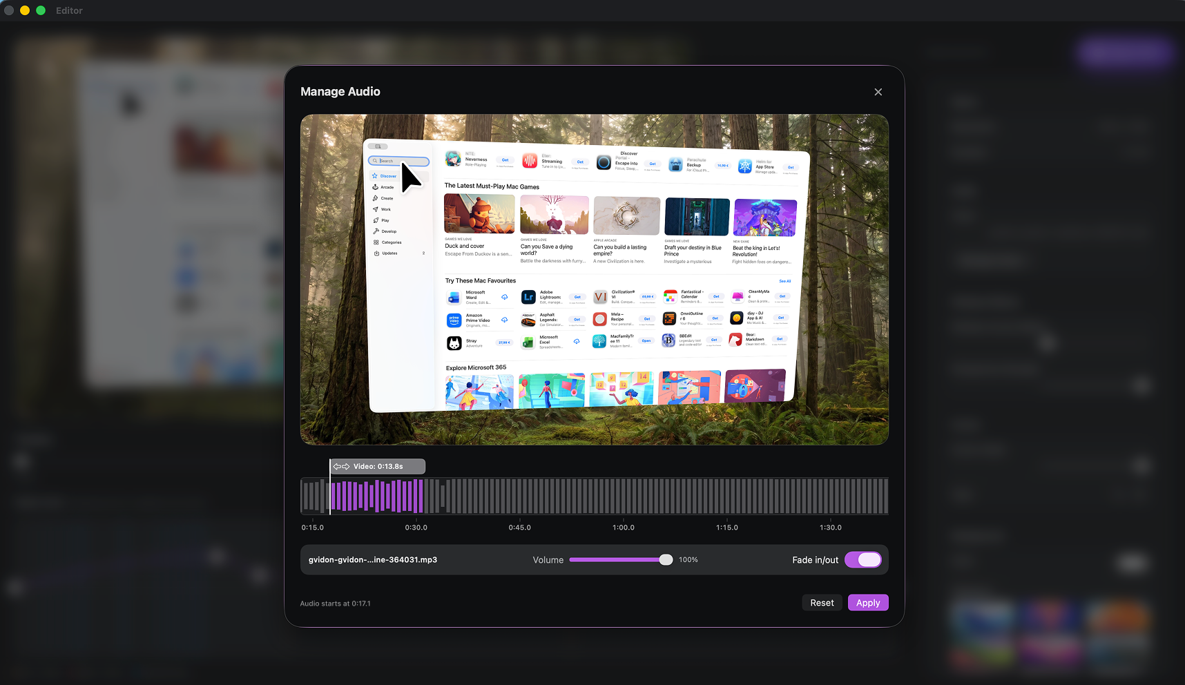 Audio Track feature