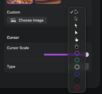 Cursor Styles feature